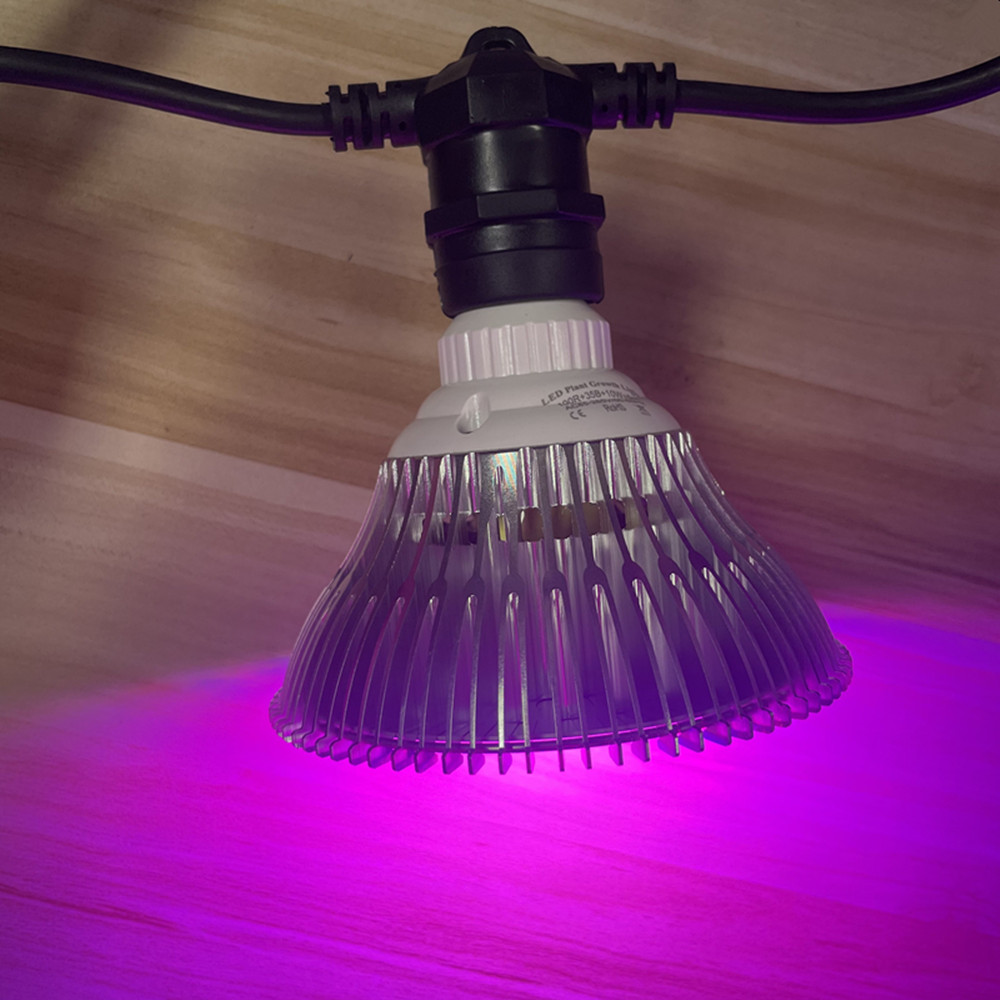 Cadena de luces LED de 10M, re - Outdoor Lighting Wedding Decor reseña y precio