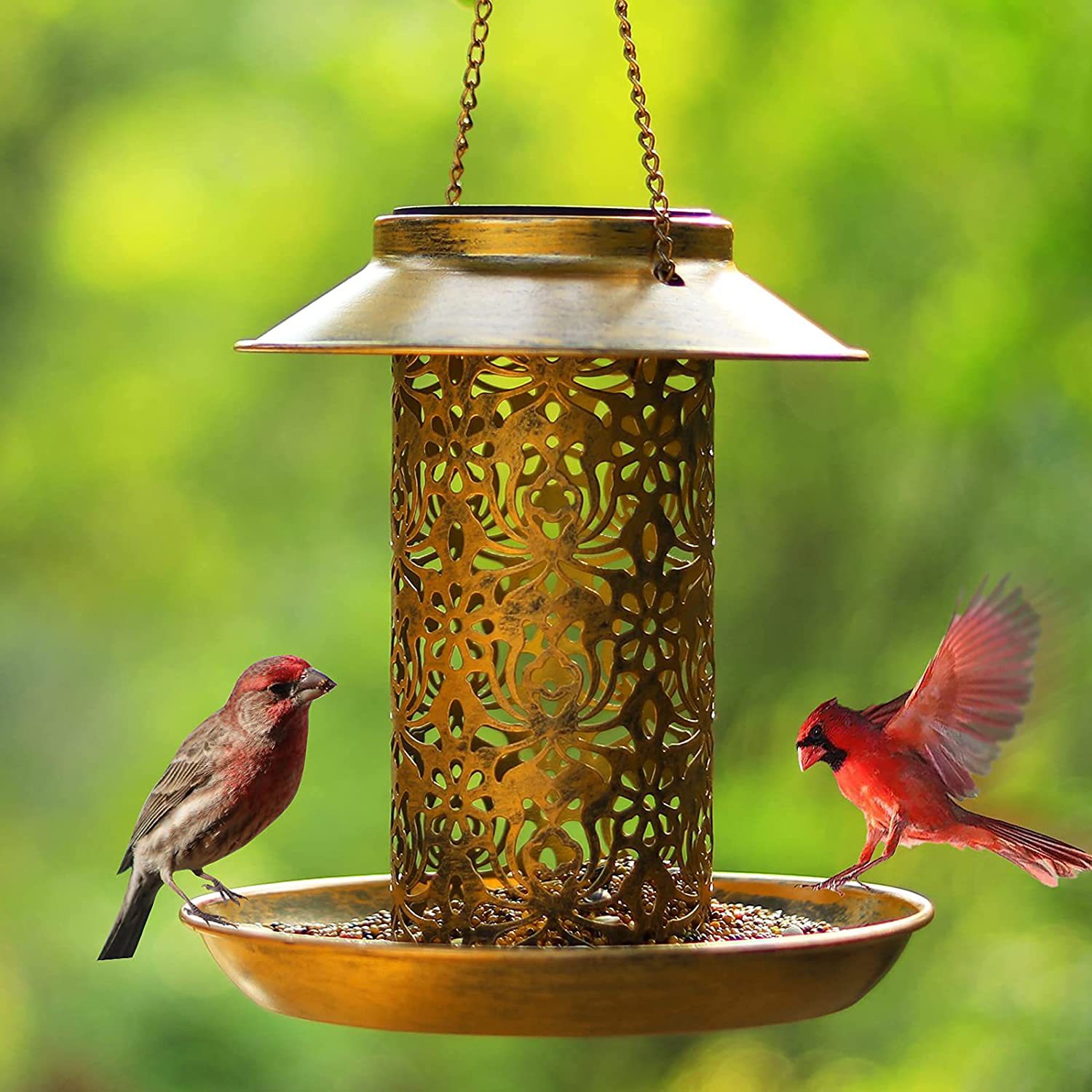 Casa para pájaros colgante, co - Outdoor Lighting Decor Ideas reseña y precio